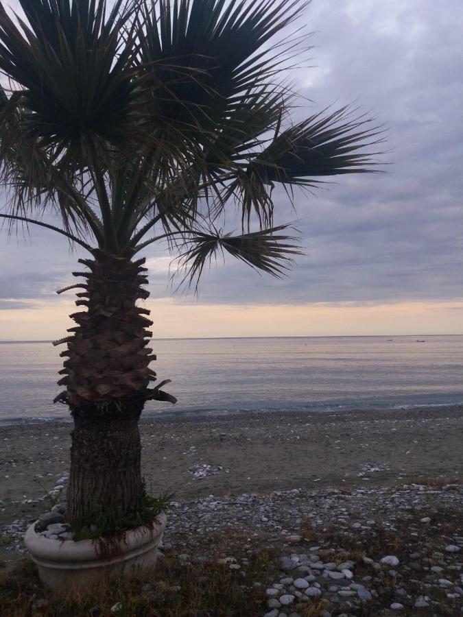 Sea View Apartments Aphrodite 乐托卡亚 外观 照片